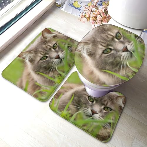 gC}bg Zbg 3_  ނ L L }bg gCWJo[ U^ O^ gC}bg Zbg ~ z  h ֊ӂJo[ ƒp zep