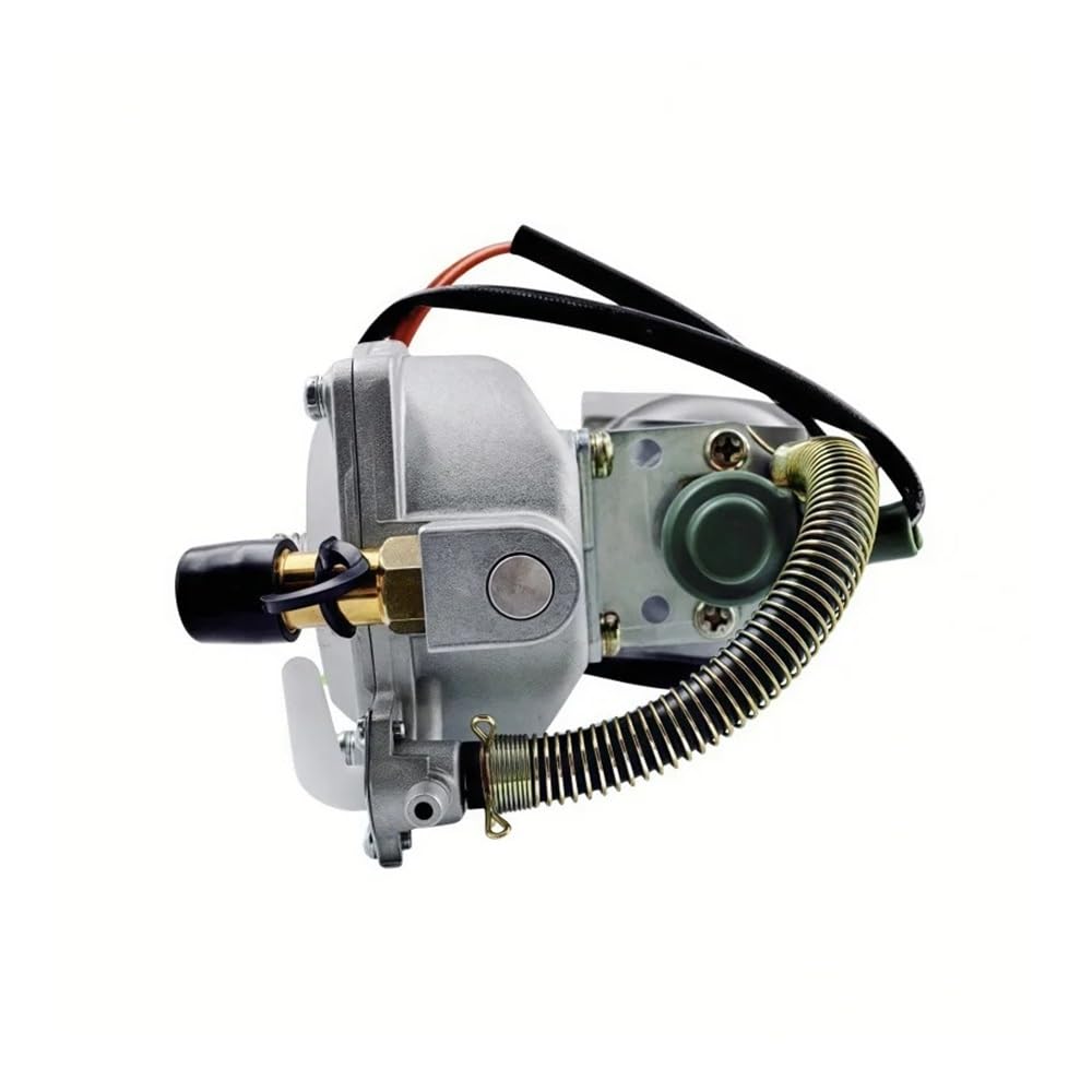 GX390 188F Generator Dual Carburetor LPG CNG Conversion Kit 4.5-5.5KW Manual Choke Garden Tools