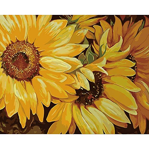 zhxx Pintar por Numeros Adultos Amarillo Girasol Flor Lienzo Decoración De La Boda Imagen Artística Regalo 40X50Cm Con Marco