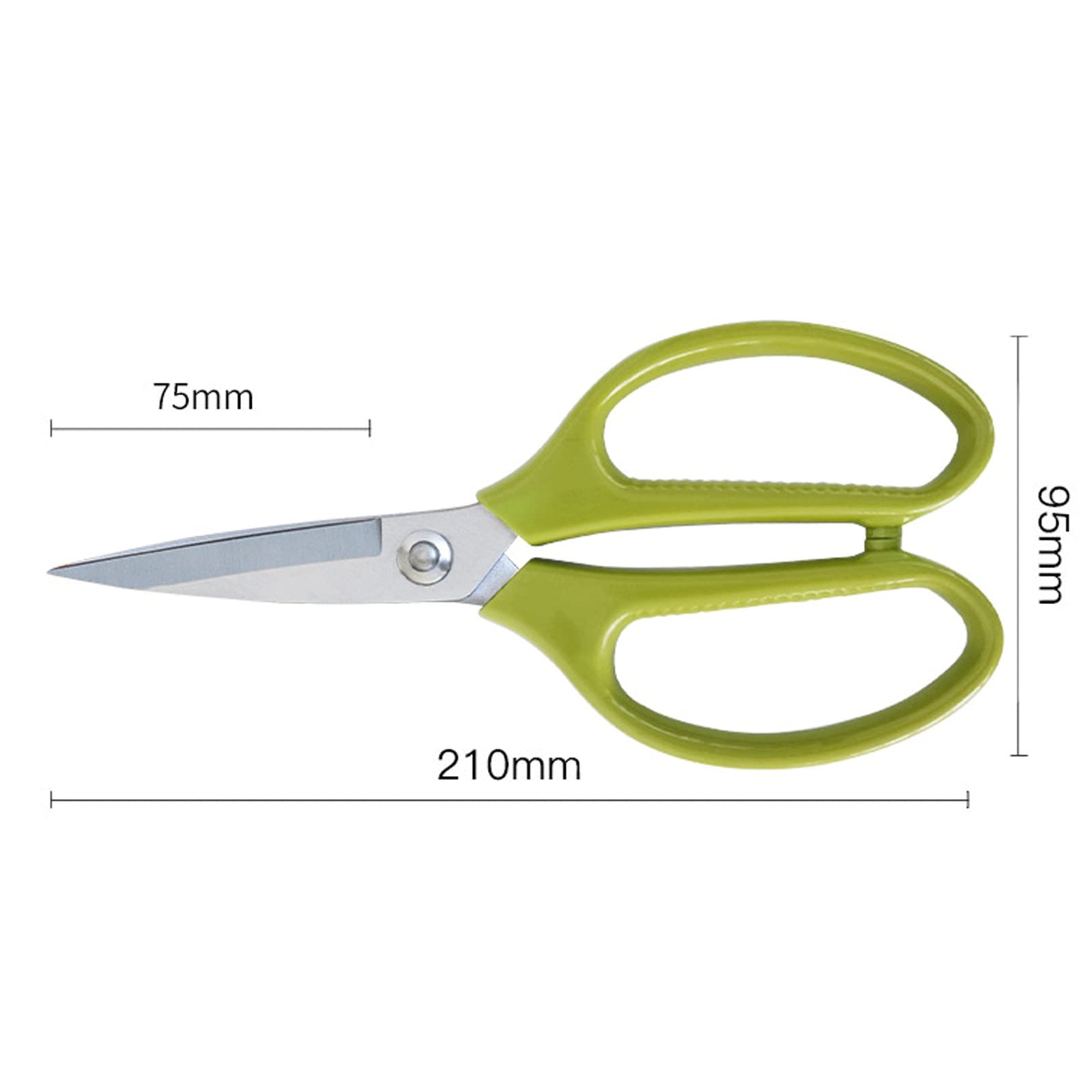 Forbici da cucina Multiuso in Acciaio inossidabile Forbici da cucina resistenti di Alta qualità per Frutti di Mare (Verde) (Green Q)
