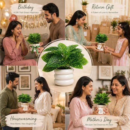Image of Set of 2 Artificial Plants with Ceramic Pots for Home Decor - Faux Greenery Decor for Small Spaces, Bathroom, Table Top - Realistic Plastic Mini Plants for Gifting & Office Decoration