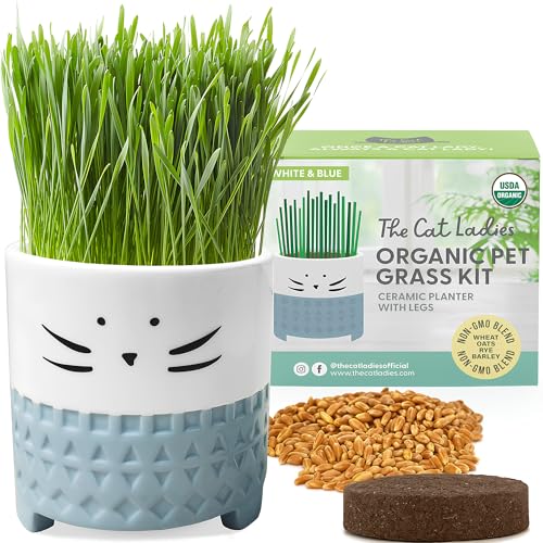 The Cat Ladies Cat Grass for Indoor Cats, Cat Grass Growing Kit with Organic Cat Grass Seed Mix, Soil and Ceramic Cat Planter, Pet Grass for Cats, Natural Hairball Remedy, Cat Gifts