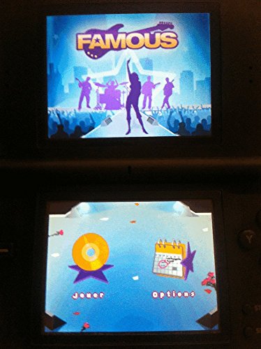 Famous Nintendo Ds - vue 4