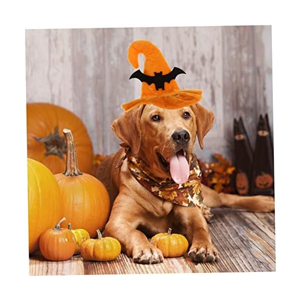Bestoyard 2 pcs pet hat spider costume prom gifts mini gifts halloween pet costume dog costume hats dog costume pumpkin hat felt cloth cat hat cat halloween headgear halloween funny pet hat - image 9