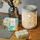 Earnest Living Duftwachs-Schmelzen Summer Daydream Weißer Moschus Grapefruit Patchouli Bergamotte Bernstein Wachswürfel Pack Heimwärmer Tart Elektrische Kerze Aroma Dekoration 256 Gramm (3-Pack)