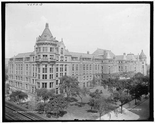 Photo: American Museum,Natural History,New York,NY,Detroit Publishing Company,c1900