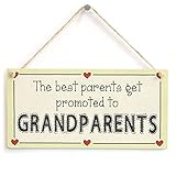 Meijiafei The Best Parents get Promoted to Grandparents - Gift Love Heart Frame Sign 10'x5'