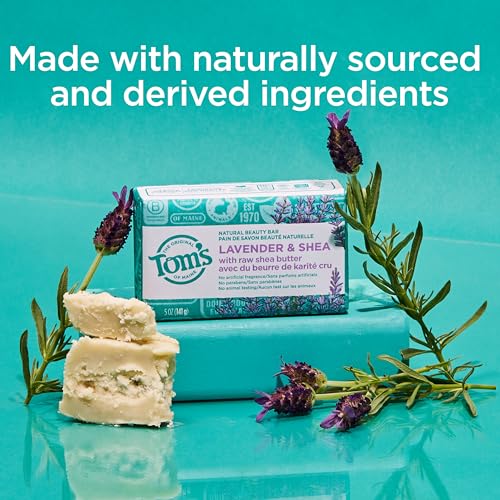 Image of Tom's of Maine Natural Beauty Bar Soap, Lavender & Shea With Raw Shea Butter, 5 oz. 6-Pack (Packaging May Vary)