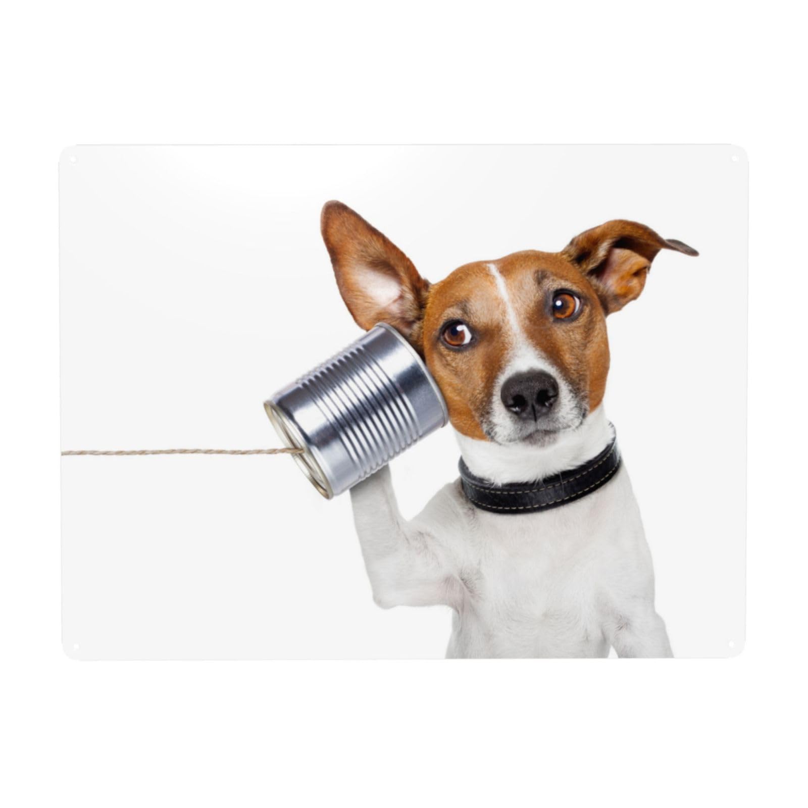 ジャックラッセルテリア welcome board 木製 犬 Amazon.co.jp: かわいい ジャックラッセル テリア 犬柄 ブリキ