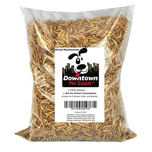 Downtown Pet Supply Dried Mealworms 100% Natural Treats for Wild Birds, Chickens, Reptiles, Fish, Turtles - Food for Birds, Turkeys (2 LB) Downtown Pet Supply Dried Mealworms 100% Natural Treats for Wild Birds, Chickens, Reptiles, Fish, Turtles - Food for Birds, Turkeys (2 LB)