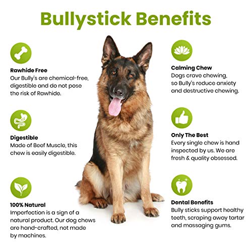 Sancho & Lola's Bully Sticks For Dogs 6-Inch Moderate Odor High-Protein Grain-Free Beef Pizzle Dog Chews #TOP4