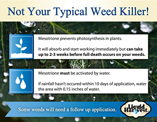Liquid Harvest 02106 Mesotrione - 8Oz - Mesotrione Concentrate (Compare To Tenacity) - Pre And Post-Emergent Weed Killer thumb #6