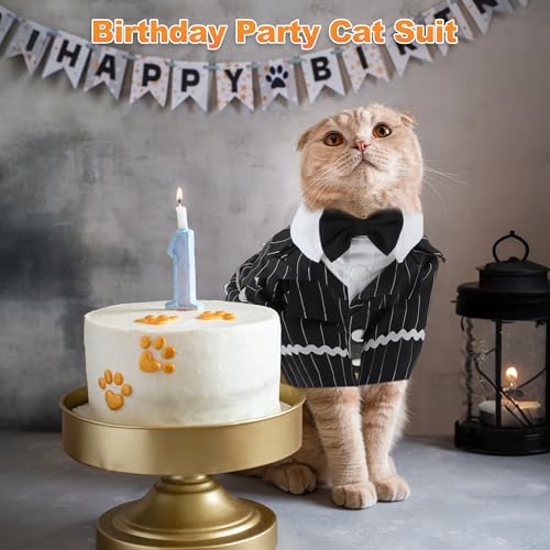 #1 Best Cat Apparel Stylish - Premium Pet Apparel Set - Image 5