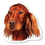 Magnet America Irish Setter Dog Magnet is 5" x 5" Made for Vehicles and Refrigerators