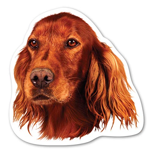 Magnet America Irish Setter Dog Magnet is 5" x 5" Made for Vehicles and Refrigerators