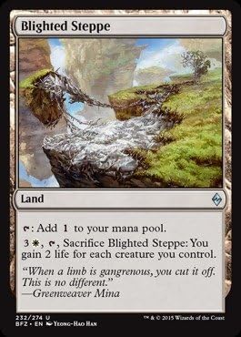 Magic The Gathering - Blighted Steppe (232/274) - Battle for Zendikar