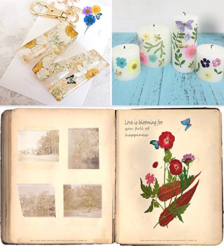 image for Foyozisun Real Dried Pressed Flowers and Butterfly Transparent Sticker