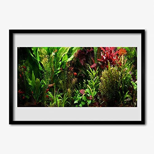 Cadre en MDF avec image murale nature et affiche de fleurs de haute qualité 70x50 cm