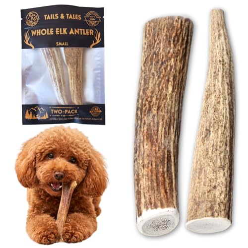 Image of Small Whole Elk Antlers for Dogs, 4-6 inch Dog Bones for Aggressive Chewers