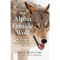 The Alpha Female Wolf: The Fierce Legacy of Yellowstone's 06