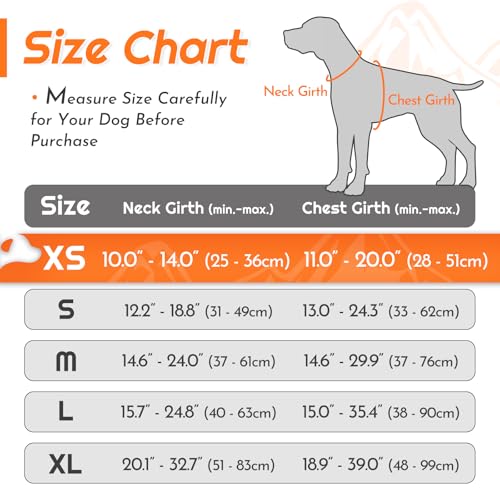 Image of Eagloo Dog Harness for Small Dogs, No Pull Pet Vest with 2 Leash Clips
