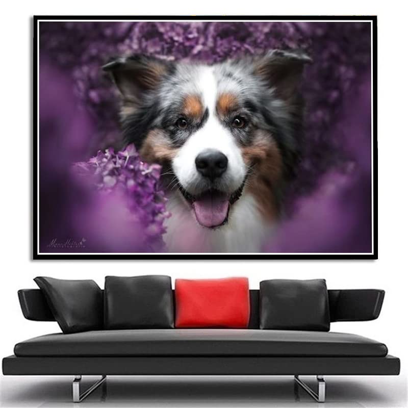 YSCOLOR Diamond Painting Kit Di Pittura Diamante 5D Kit Completo Di Kit Di Pittura Per Numero Kit Regalo Relax Border Collie Nella Neve 30x40cm