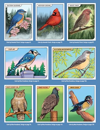 Image of Great Coloring Book of North American Birds: 144 Info-Packed Pages to Color & Learn (Design Originals) Realistic Wild Bird Designs and Fun Facts on Perforated Pages - Songbirds, Waterfowl, and More