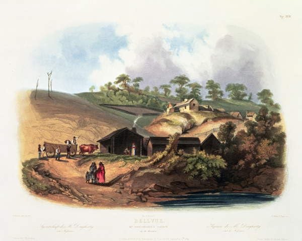 Toile Karl Bodmer Bellvue Mr Dougherty's Agency poster grand format sans cadre