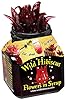 Wild Hibiscus Flowers in Syrup - 8.8 oz (250 g) #1