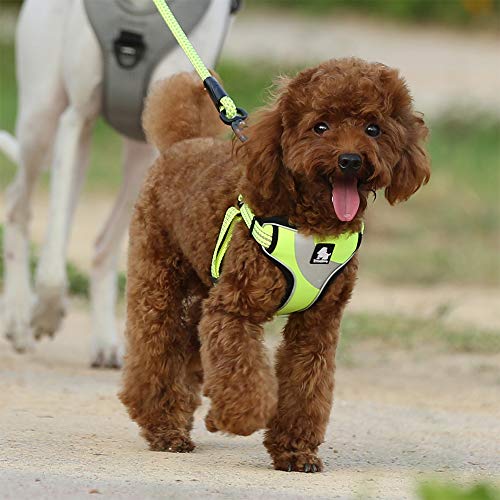 Hundegeschirr Reflektierende Sicherheitsweste für kleine mittelgroße Hunde TLH5991 (S, Neongelb)