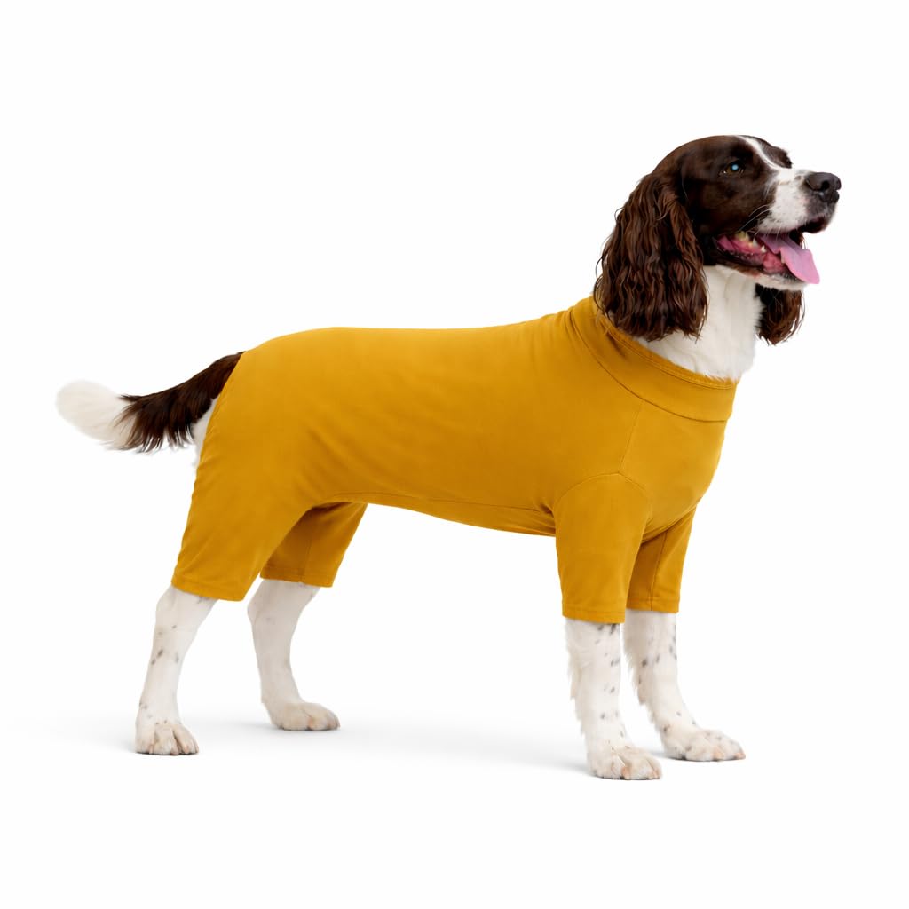 Lovelonglong Dog Full Bodysuit – Stretchy Yoga Fabric 4-Leg Dog Pajamas, Breathable & Lightweight Dog Onesie for Indoor & Outdoor, Shedding Control & Travel Wear Mustard L