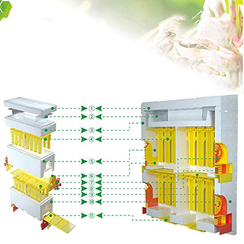 Cobeky Bienenstock Bienen Zucht King Box Multifunktionale Bienen K?Nigin Bienenstock Kunststoff Schaumstoff Doppel Box K?Nigin Aufzucht Bienenstock Bienenzucht Werkzeug Bienen Nest – Bild 6
