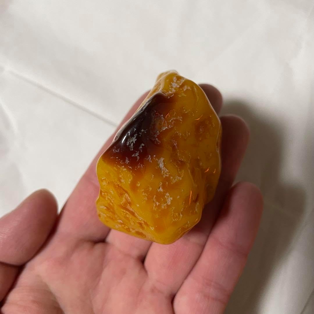 琥珀 原石 ロイヤルアンバー こはく パワーストーン 標本 化石 恐竜 博物館 琥珀 原石 ロイヤルアンバー こはく パワーストーン 標本 化石 恐竜