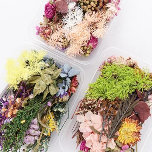 Kit de flores secas para manualidades con pétalos naturales miniatura 5