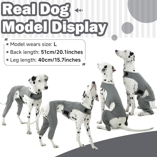 Hjyokuso Hundebody Nach Op Mit Bein, Wundschutzanzüge, Hinterbeinschutz, Anti-Wundlecken Body, E-Kragen Alternative, Schenkelschutz Bodysuit