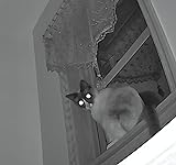 Review Image by cteama cteama