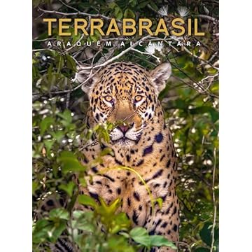 Capa do livro TerraBrasil (Volume 1)