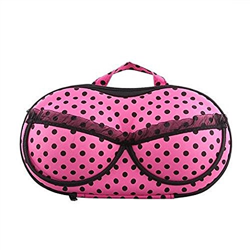 Inditradition Travel Lingerie & Undergarments Organizer Bag With