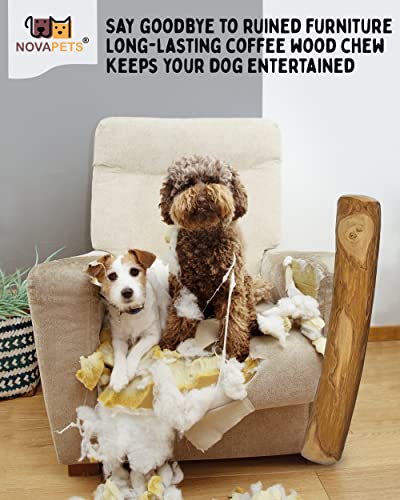 NOVAPETS Coffee Wood Dog Chew Stick for Small Dogs - Natural Dental Chewing Toy - Pack of 2 Size S, S (Pack of 2) - Image 4