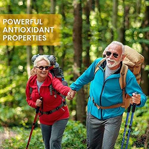 Lewis Labs Vitamin C With Rose Hips & Acerola Cherry 1000Mg | Pure Vitamin C Ascorbic Acid Supplement For Immune System & Cardiovascular Support & Healthy Skin | Non-Gmo, Gluten Free Vitamins #TOP3