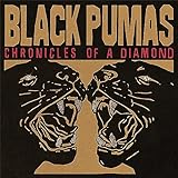 CHRONICLES OF A DIAMOND