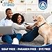 TropiClean OxyMed Hypoallergenic Dog Shampoo for Allergies and Itching, Skin Soothing Shampoo for Pets with Sensitive Skin, Tearless, Cat Safe, 20oz.