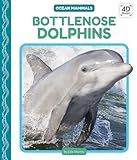 Bottlenose Dolphins (Ocean Mammals)