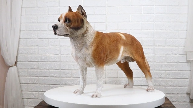Amazon.com: Ebros Large Lifelike Realistic American Pit Bull