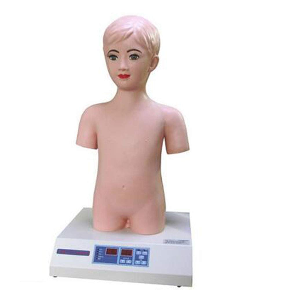Sjdopulse Pediatric Cardiopulmonary Palpation Auscultation Microcomputer Simulation Man-Child Physical Examination Model-Simulation Of 80 Kinds Of Cardiopulmonary
