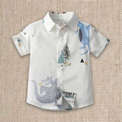 Toddler Boys Hawaiian Floral Shirts Kids Short Sleeve Button Down Tropical Summer Beach Tshirts Teens Girls Cute Vacation Top3