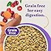 Halo Holistic Cage Free Chicken Cat Food, Grain Free Dry Cat Food, For Healthy Weight Support, Kibble for Indoor Cats, 3 lb Bag