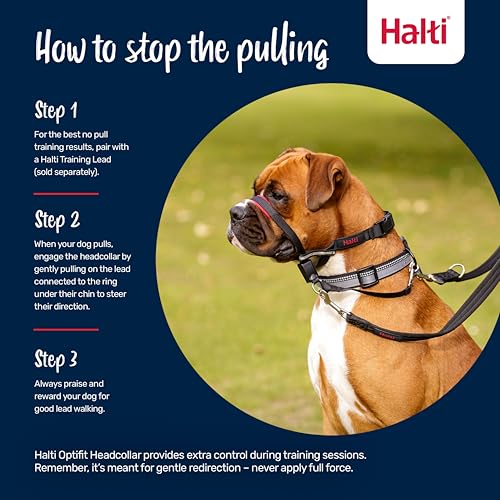 Image of Halti Optifit Headcollar - Stop Your Dog Pulling on the Leash. Adjustable, Reflective and Lightweight, with Padded Nose Band. Dog Training Anti-Pull Collar for Large Dogs (Size Large) | Stop Your Dog Pulling on the Leash | Professional Anti-Pull Training Aid | Adjustable & Reflective Headcollar for Large Dogs