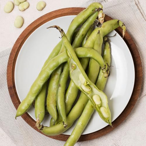 Broad Bean Aquadulce Claudia Seeds – Early, Heavy-Cropping Variety – Sweet, Tender Beans – Perfect for Autumn or Spring Sowing – Easy to Grow – Ideal for UK Gardens
