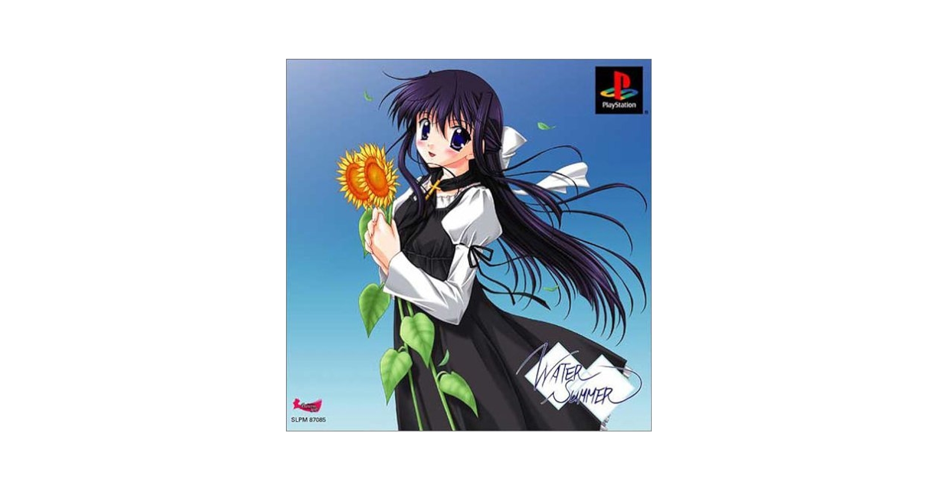 WaterSummer(限定版) Amazon | WaterSummer(限定版) | ゲームソフト